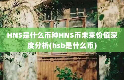 HNS是什么币种HNS币未来价值深度分析(hsb是什么币)