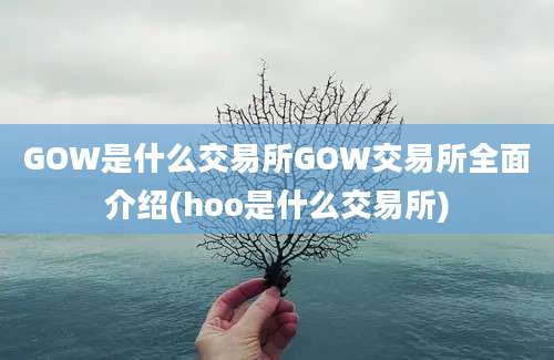 GOW是什么交易所GOW交易所全面介绍(hoo是什么交易所)