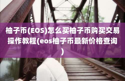 柚子币(EOS)怎么买柚子币购买交易操作教程(eos柚子币最新价格查询)