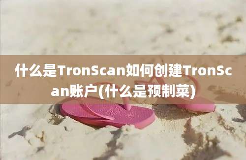 什么是TronScan如何创建TronScan账户(什么是预制菜)