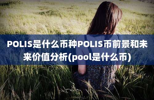 POLIS是什么币种POLIS币前景和未来价值分析(pool是什么币)