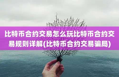 比特币合约交易怎么玩比特币合约交易规则详解(比特币合约交易骗局)