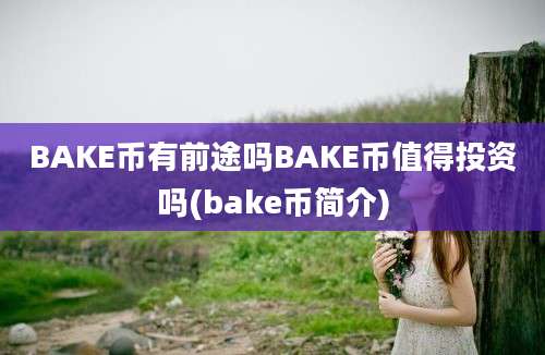 BAKE币有前途吗BAKE币值得投资吗(bake币简介)