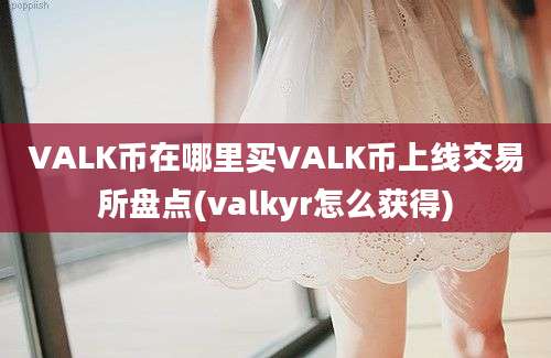 VALK币在哪里买VALK币上线交易所盘点(valkyr怎么获得)