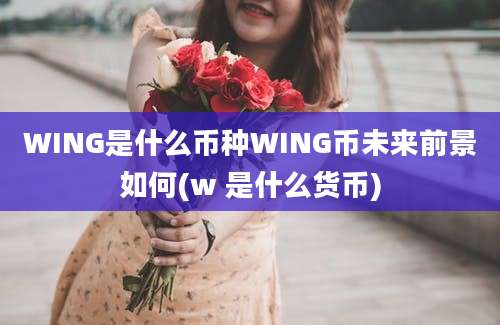 WING是什么币种WING币未来前景如何(w 是什么货币)