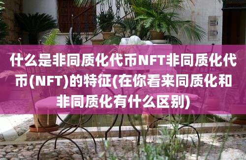 什么是非同质化代币NFT非同质化代币(NFT)的特征(在你看来同质化和非同质化有什么区别)