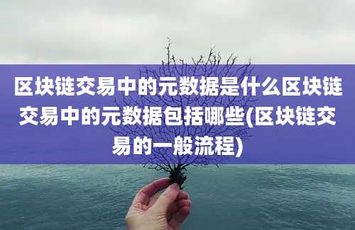 区块链交易中的元数据是什么区块链交易中的元数据包括哪些(区块链交易的一般流程)