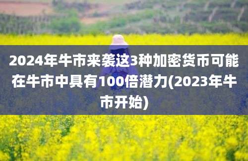 2024年牛市来袭这3种加密货币可能在牛市中具有100倍潜力(2023年牛市开始)