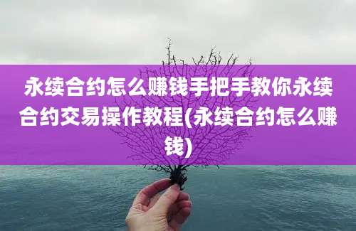 永续合约怎么赚钱手把手教你永续合约交易操作教程(永续合约怎么赚钱)