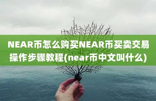 NEAR币怎么购买NEAR币买卖交易操作步骤教程(near币中文叫什么)