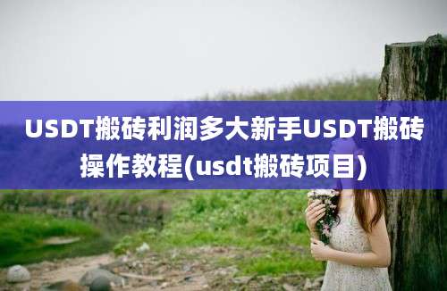 USDT搬砖利润多大新手USDT搬砖操作教程(usdt搬砖项目)