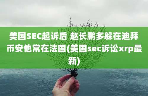 美国SEC起诉后 赵长鹏多躲在迪拜币安他常在法国(美国sec诉讼xrp最新)