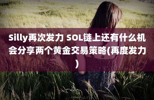 Silly再次发力 SOL链上还有什么机会分享两个黄金交易策略(再度发力)