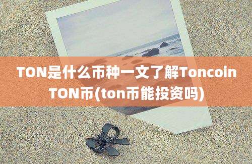 TON是什么币种一文了解ToncoinTON币(ton币能投资吗)