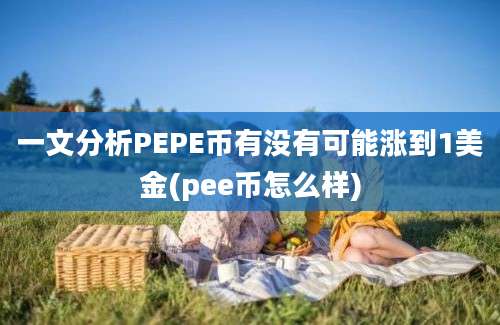 一文分析PEPE币有没有可能涨到1美金(pee币怎么样)