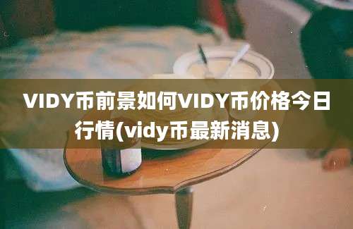 VIDY币前景如何VIDY币价格今日行情(vidy币最新消息)