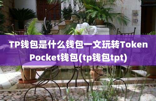 TP钱包是什么钱包一文玩转TokenPocket钱包(tp钱包tpt)