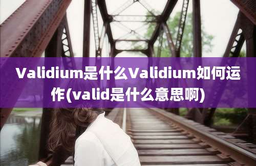 Validium是什么Validium如何运作(valid是什么意思啊)