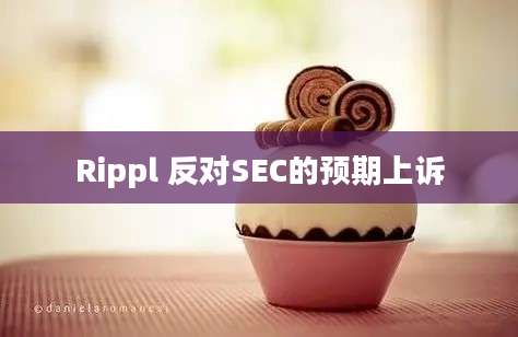 Rippl 反对SEC的预期上诉