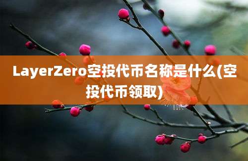 LayerZero空投代币名称是什么(空投代币领取)