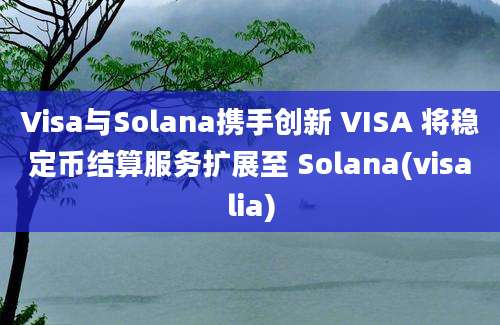 Visa与Solana携手创新 VISA 将稳定币结算服务扩展至 Solana(visalia)