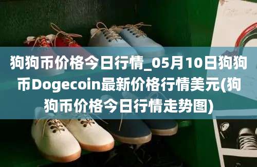 狗狗币价格今日行情_05月10日狗狗币Dogecoin最新价格行情美元(狗狗币价格今日行情走势图)