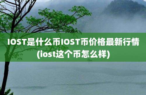 IOST是什么币IOST币价格最新行情(iost这个币怎么样)