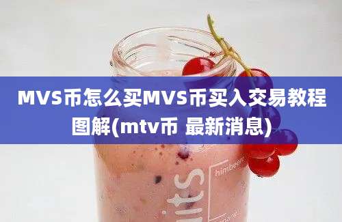 MVS币怎么买MVS币买入交易教程图解(mtv币 最新消息)