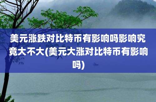 美元涨跌对比特币有影响吗影响究竟大不大(美元大涨对比特币有影响吗)