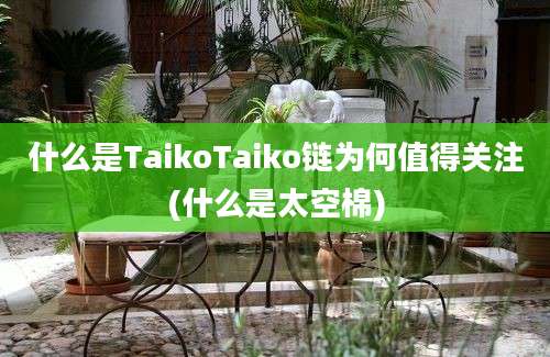 什么是TaikoTaiko链为何值得关注(什么是太空棉)