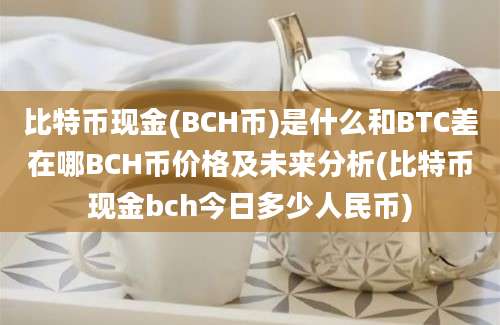 比特币现金(BCH币)是什么和BTC差在哪BCH币价格及未来分析(比特币现金bch今日多少人民币)