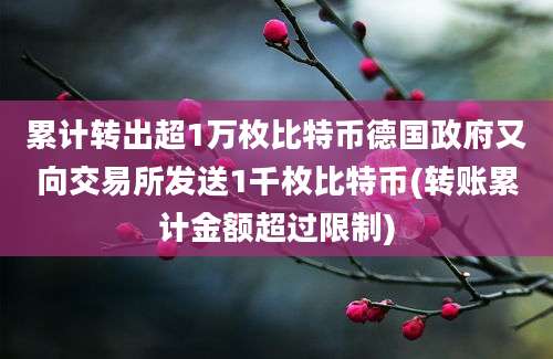 累计转出超1万枚比特币德国政府又向交易所发送1千枚比特币(转账累计金额超过限制)