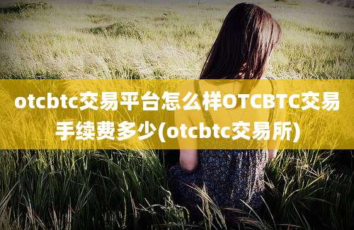 otcbtc交易平台怎么样OTCBTC交易手续费多少(otcbtc交易所)