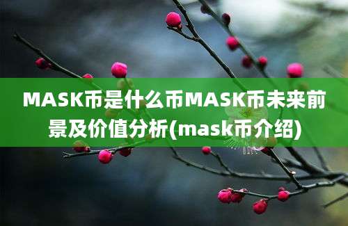 MASK币是什么币MASK币未来前景及价值分析(mask币介绍)