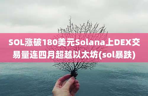 SOL涨破180美元Solana上DEX交易量连四月超越以太坊(sol暴跌)