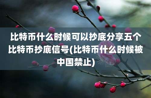 比特币什么时候可以抄底分享五个比特币抄底信号(比特币什么时候被中国禁止)