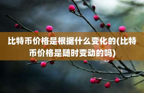 比特币价格是根据什么变化的(比特币价格是随时变动的吗)