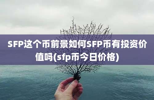 SFP这个币前景如何SFP币有投资价值吗(sfp币今日价格)