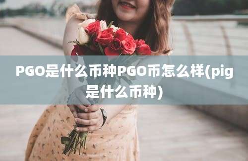 PGO是什么币种PGO币怎么样(pig是什么币种)