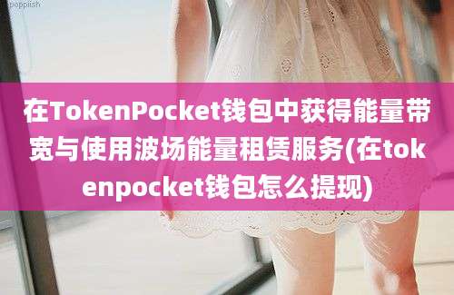 在TokenPocket钱包中获得能量带宽与使用波场能量租赁服务(在tokenpocket钱包怎么提现)