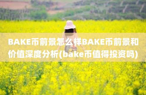 BAKE币前景怎么样BAKE币前景和价值深度分析(bake币值得投资吗)