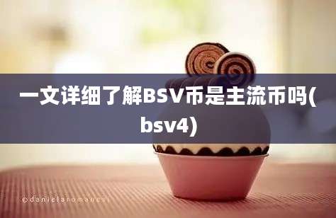 一文详细了解BSV币是主流币吗(bsv4)