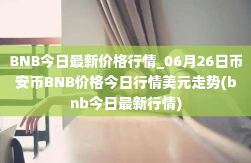 BNB今日最新价格行情_06月26日币安币BNB价格今日行情美元走势(bnb今日最新行情)