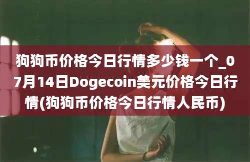 狗狗币价格今日行情多少钱一个_07月14日Dogecoin美元价格今日行情(狗狗币价格今日行情人民币)