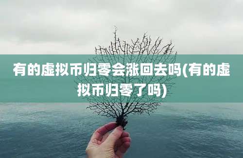 有的虚拟币归零会涨回去吗(有的虚拟币归零了吗)