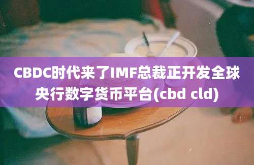 CBDC时代来了IMF总裁正开发全球央行数字货币平台(cbd cld)