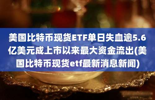 美国比特币现货ETF单日失血逾5.6亿美元成上市以来最大资金流出(美国比特币现货etf最新消息新闻)