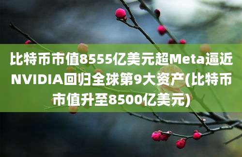 比特币市值8555亿美元超Meta逼近NVIDIA回归全球第9大资产(比特币市值升至8500亿美元)