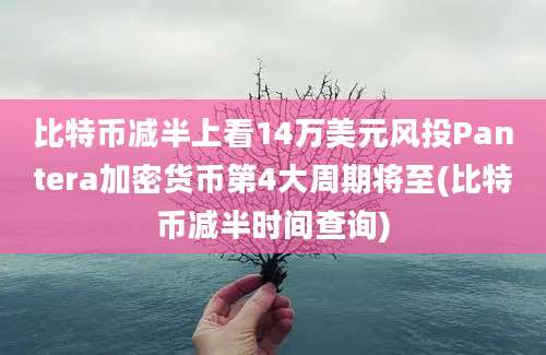 比特币减半上看14万美元风投Pantera加密货币第4大周期将至(比特币减半时间查询)