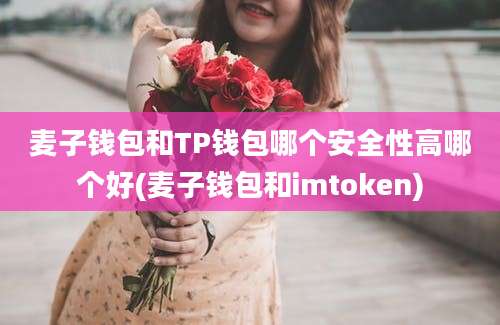 麦子钱包和TP钱包哪个安全性高哪个好(麦子钱包和imtoken)